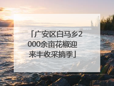 广安区白马乡2000余亩花椒迎来丰收采摘季