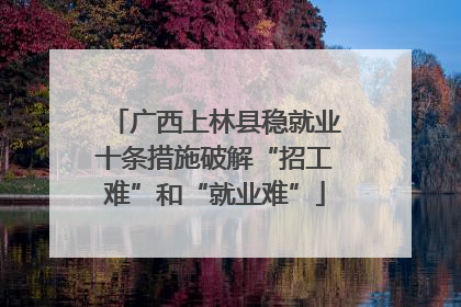 广西上林县稳就业十条措施破解“招工难”和“就业难”