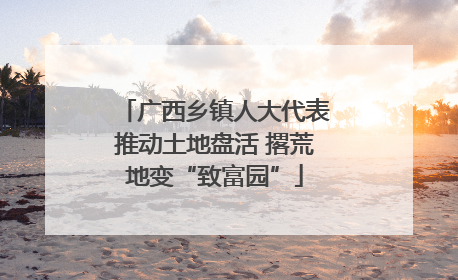 广西乡镇人大代表推动土地盘活 撂荒地变“致富园”