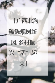 广西北海破陈规树新风 乡村振兴“活”起来