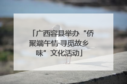 广西容县举办“侨聚端午情·寻觅故乡味”文化活动