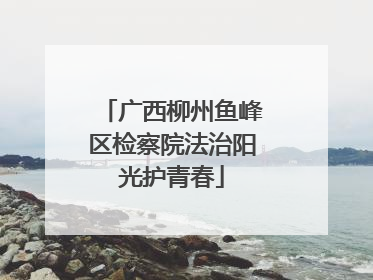 广西柳州鱼峰区检察院法治阳光护青春