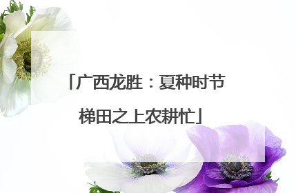 广西龙胜：夏种时节 梯田之上农耕忙