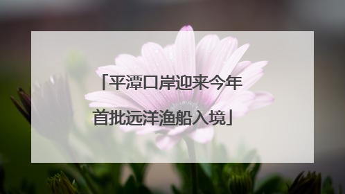 平潭口岸迎来今年首批远洋渔船入境