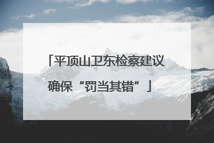 平顶山卫东检察建议确保“罚当其错”
