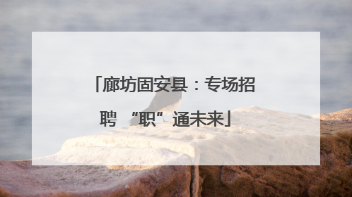 廊坊固安县：专场招聘 “职”通未来