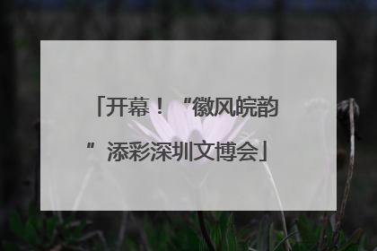 开幕！“徽风皖韵”添彩深圳文博会