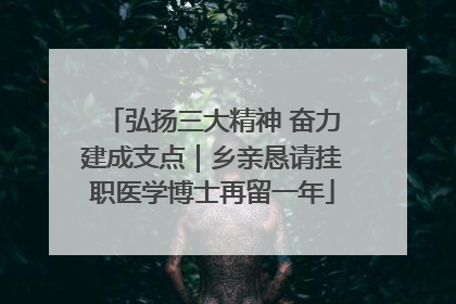 弘扬三大精神 奋力建成支点｜乡亲恳请挂职医学博士再留一年