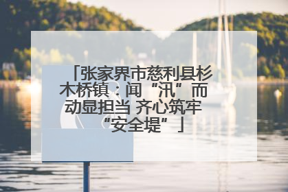 张家界市慈利县杉木桥镇：闻“汛”而动显担当 齐心筑牢“安全堤”