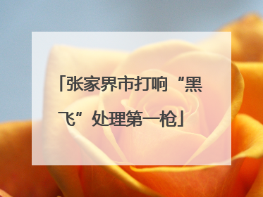 张家界市打响“黑飞”处理第一枪