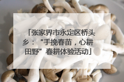 张家界市永定区桥头乡：“手挽春苗，心耕田野”春耕体验活动