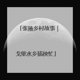 张掖乡村故事｜戈壁水乡插秧忙