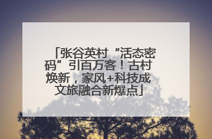 张谷英村“活态密码”引百万客！古村焕新，家风+科技成文旅融合新爆点