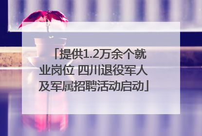 提供1.2万余个就业岗位 四川退役军人及军属招聘活动启动