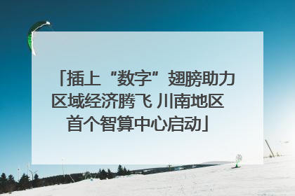 插上“数字”翅膀助力区域经济腾飞 川南地区首个智算中心启动