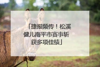 捷报频传！松溪健儿南平市赛事斩获多项佳绩