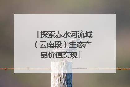 探索赤水河流域（云南段）生态产品价值实现