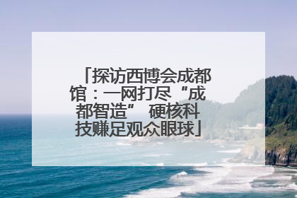 探访西博会成都馆：一网打尽“成都智造” 硬核科技赚足观众眼球
