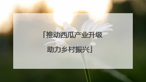 推动西瓜产业升级 助力乡村振兴