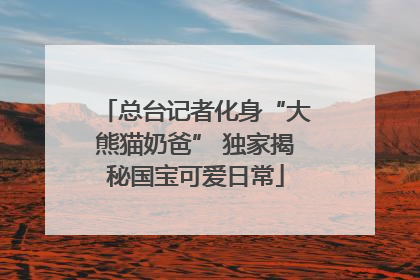 总台记者化身“大熊猫奶爸” 独家揭秘国宝可爱日常