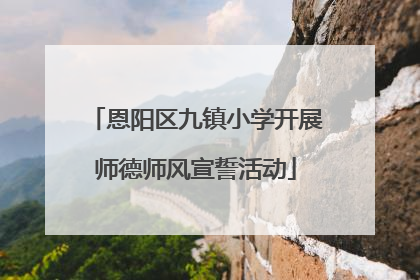 恩阳区九镇小学开展师德师风宣誓活动