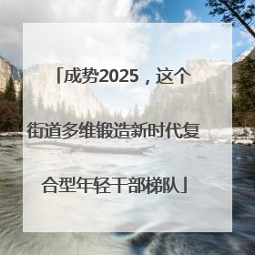 成势2025，这个街道多维锻造新时代复合型年轻干部梯队