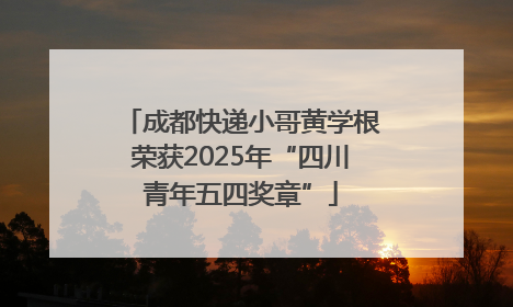 成都快递小哥黄学根荣获2025年“四川青年五四奖章”