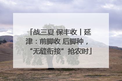 战三夏 保丰收丨延津：前脚收 后脚种，“无缝衔接”抢农时