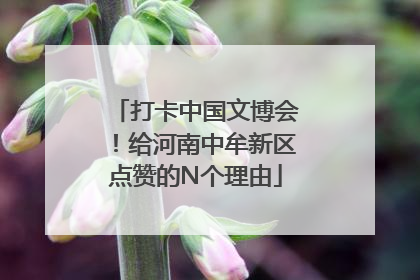 打卡中国文博会！给河南中牟新区点赞的N个理由