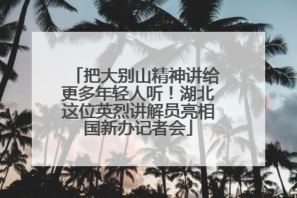 把大别山精神讲给更多年轻人听！湖北这位英烈讲解员亮相国新办记者会