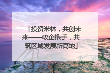 投资米林，共创未来——政企携手，共筑区域发展新高地