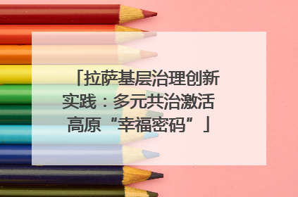 拉萨基层治理创新实践：多元共治激活高原“幸福密码”