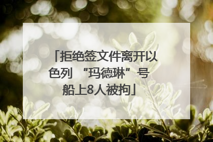 拒绝签文件离开以色列 “玛德琳”号船上8人被拘