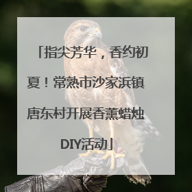 指尖芳华，香约初夏！常熟市沙家浜镇唐东村开展香薰蜡烛DIY活动