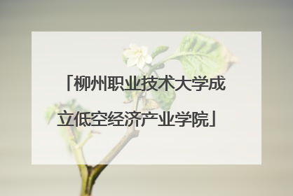 柳州职业技术大学成立低空经济产业学院