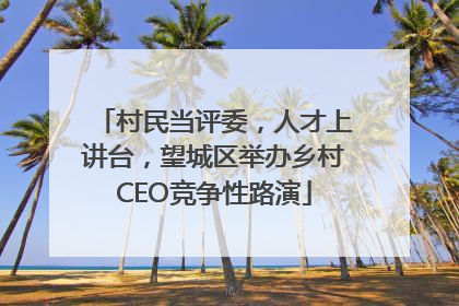 村民当评委，人才上讲台，望城区举办乡村CEO竞争性路演