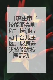 枣庄市“技能照亮前程”培训行动｜台儿庄区开展康养类技能进校园活动