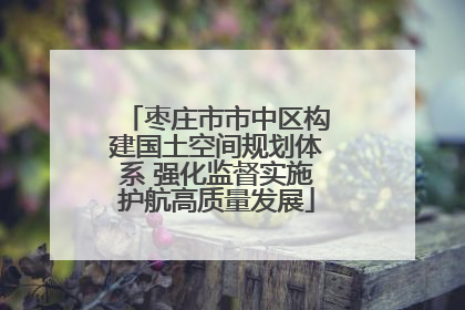 枣庄市市中区构建国土空间规划体系 强化监督实施护航高质量发展