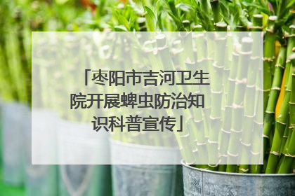 枣阳市吉河卫生院开展蜱虫防治知识科普宣传