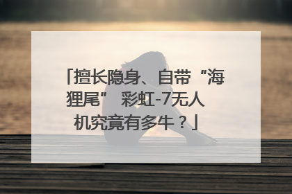 擅长隐身、自带“海狸尾” 彩虹-7无人机究竟有多牛？