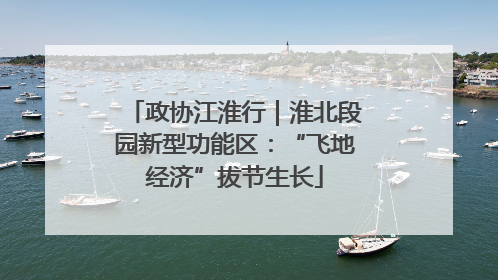 政协江淮行｜淮北段园新型功能区：“飞地经济”拔节生长