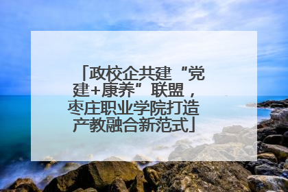 政校企共建“党建+康养”联盟，枣庄职业学院打造产教融合新范式