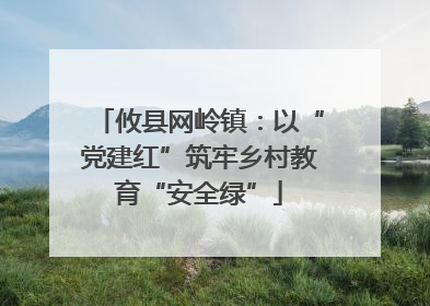 攸县网岭镇：以“党建红”筑牢乡村教育“安全绿”