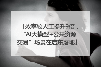 效率较人工提升9倍，“AI大模型+公共资源交易”场景在启东落地
