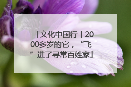 文化中国行丨2000多岁的它，“飞”进了寻常百姓家
