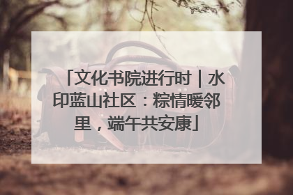 文化书院进行时｜水印蓝山社区：粽情暖邻里，端午共安康