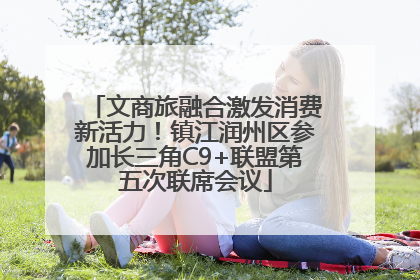 文商旅融合激发消费新活力！镇江润州区参加长三角C9+联盟第五次联席会议