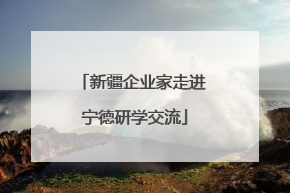 新疆企业家走进宁德研学交流