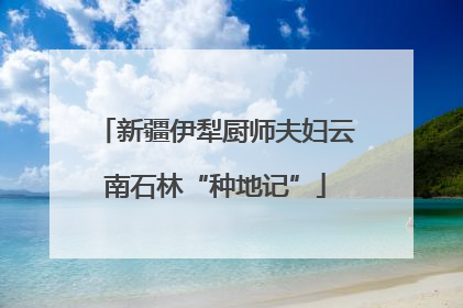 新疆伊犁厨师夫妇云南石林“种地记”