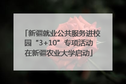 新疆就业公共服务进校园“3+10”专项活动在新疆农业大学启动
